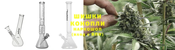 ПСИЛОЦИБИНОВЫЕ ГРИБЫ Осташков
