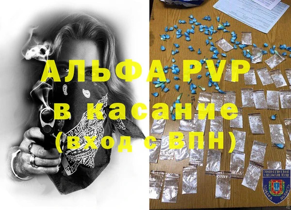 ПСИЛОЦИБИНОВЫЕ ГРИБЫ Осташков