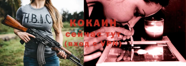 бошки Пересвет